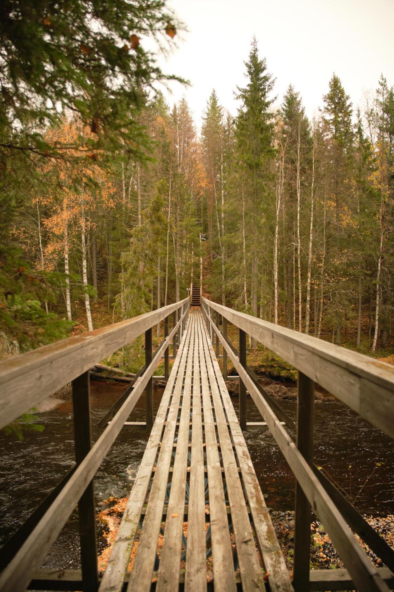 Langforsen Glamping & Lapland Experience Hotel Lapptrask ภายนอก รูปภาพ
