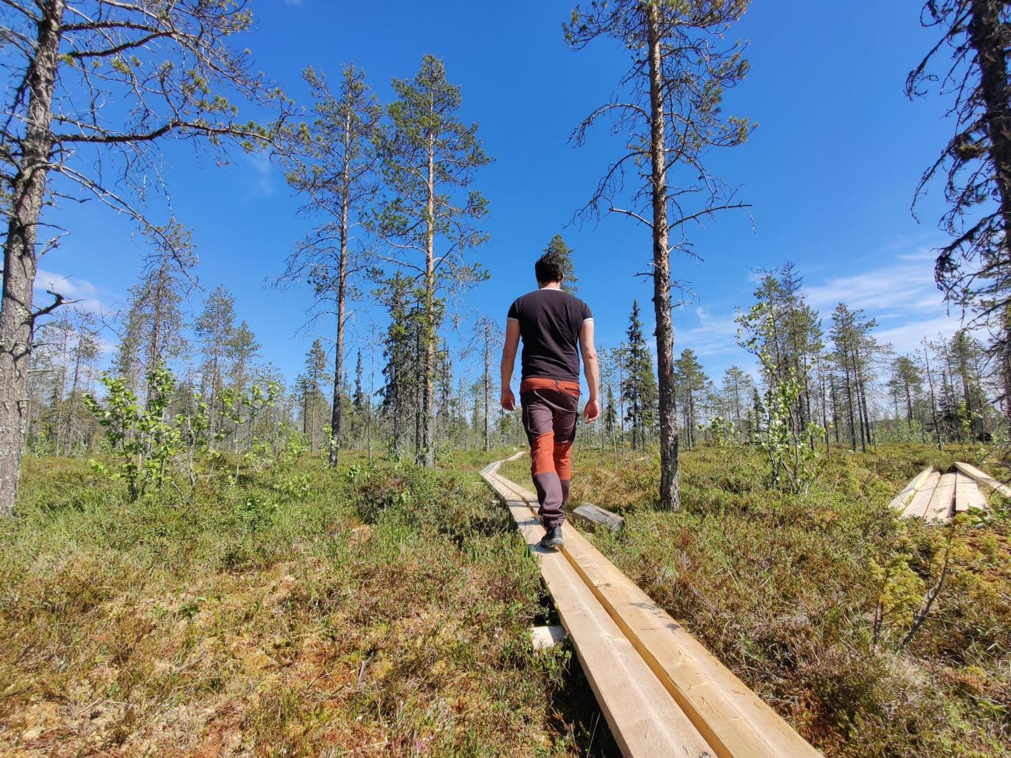 Langforsen Glamping & Lapland Experience Hotel Lapptrask ภายนอก รูปภาพ