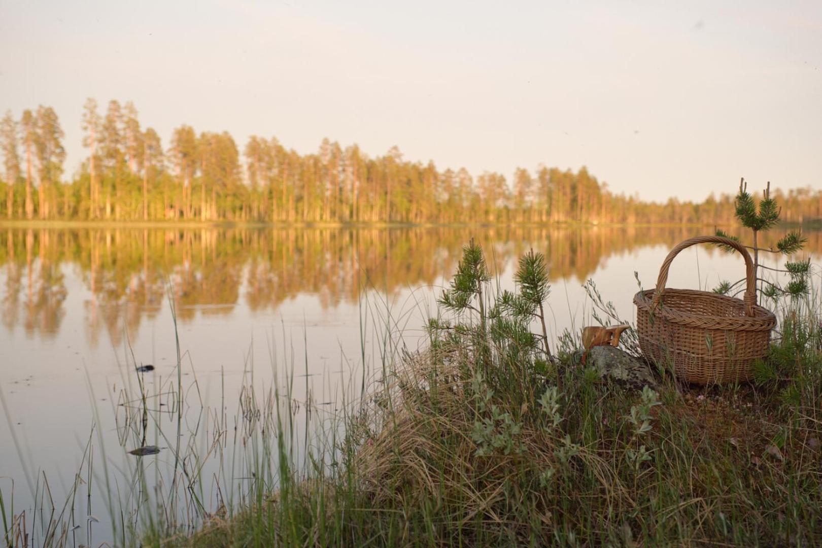 Langforsen Glamping & Lapland Experience Hotel Lapptrask ภายนอก รูปภาพ