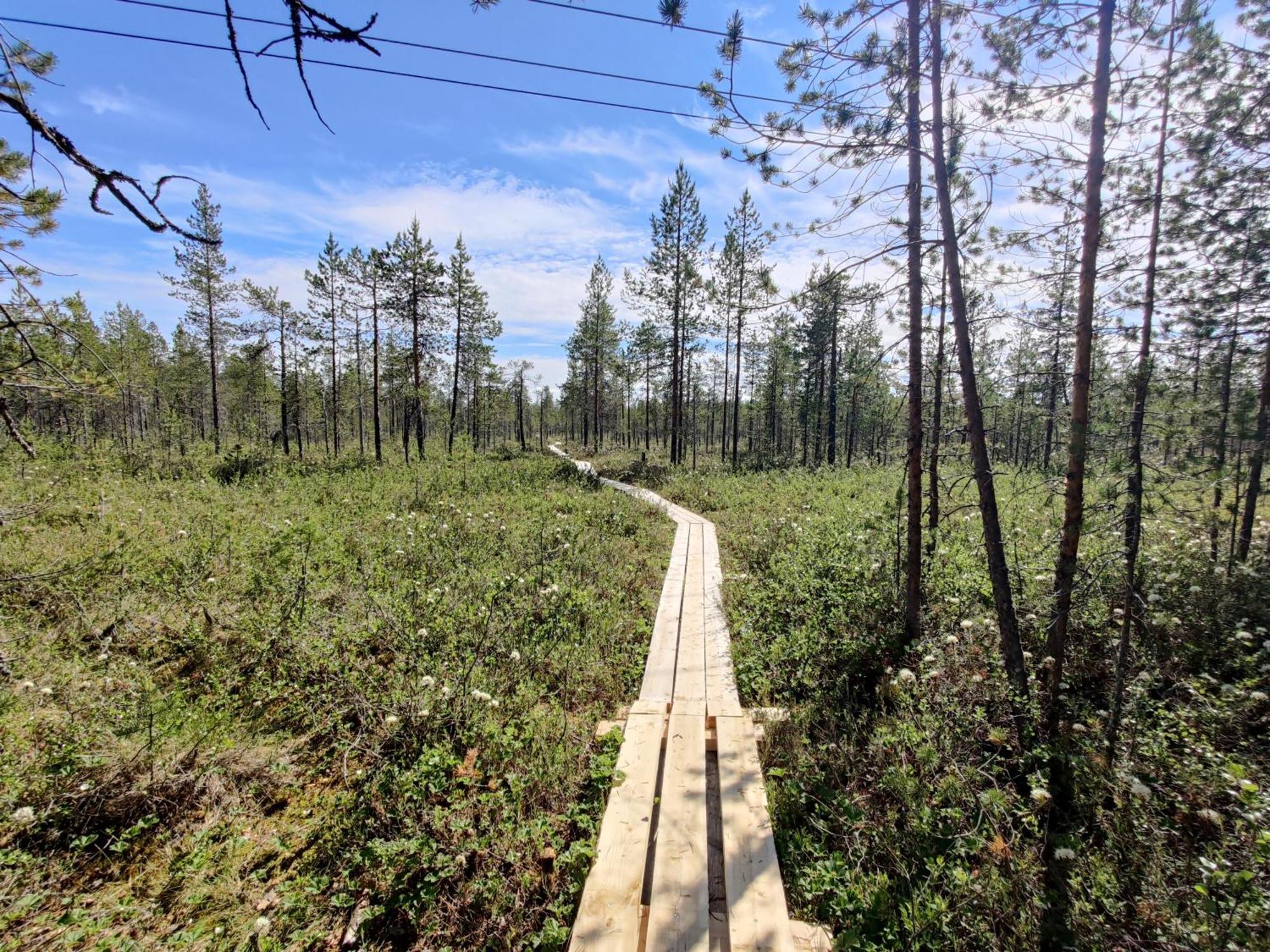 Langforsen Glamping & Lapland Experience Hotel Lapptrask ภายนอก รูปภาพ