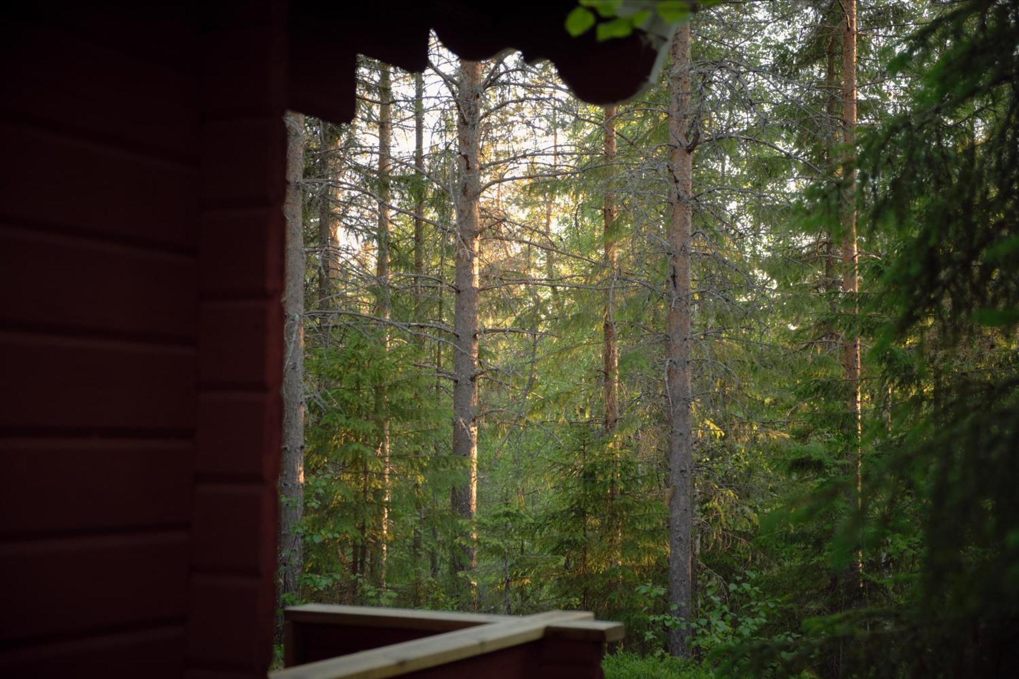 Langforsen Glamping & Lapland Experience Hotel Lapptrask ภายนอก รูปภาพ